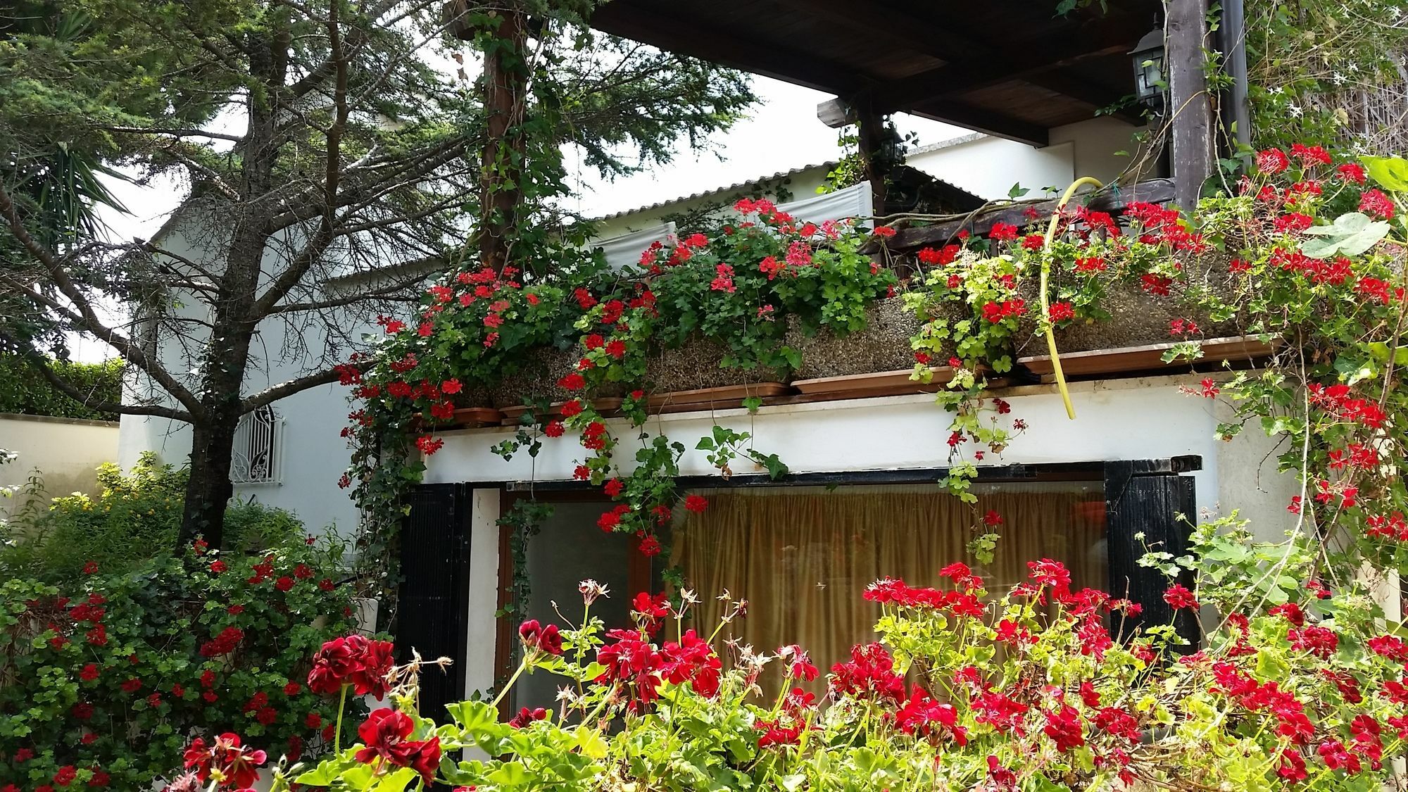 Lecce Guesthouse Luaran gambar